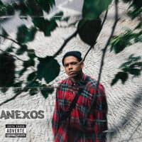 Anexos