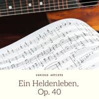 Ein Heldenleben, Op. 40: The Hero's Retreat From The World & Fulfillment