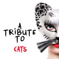 A Tribute to Cats