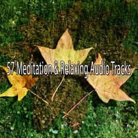 57 Meditation & Relaxing Audio Tracks