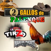 2 Gallos de Palenque