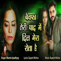 Bewafa Teri Yaad Me Dil Mera Rota Hai - Single