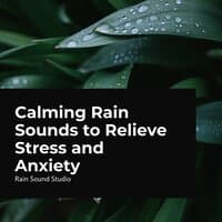 Calming Rain Sounds to Relieve Stress and Anxiety