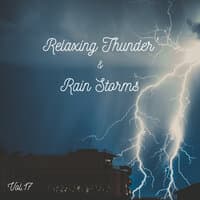 Relaxing Thunder and Rain Storms Vol.17