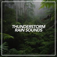 Thunderstorm & Rain Sounds