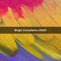 BRIGHT COMPILATION 2020