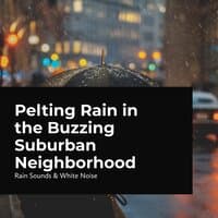 Pelting Rain in the Buzzing Suburban Neighborhood