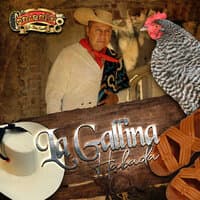 La Gallina Habada (El Coyote)