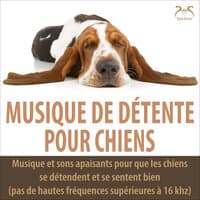 Le son de l'été : sons apaisants de la nature et musique apaisante de relaxation pour le chien - pas de fréquences supérieures à 16 kHz