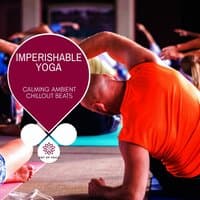 Imperishable Yoga - Calming Ambient Chillout Beats