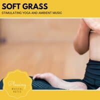 Soft Grass - Stimulating Yoga And Ambient Music