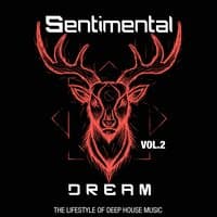 Sentimental Dream, Vol. 2