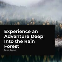 Experience an Adventure Deep Into the Rain Forest