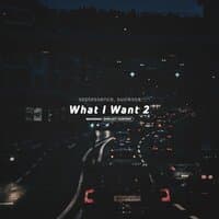 What I Want 2