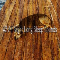 42 All Night Long Sleep Sounds