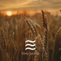 Calming Various Sleeping Soughs