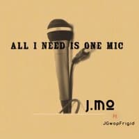 One Mic