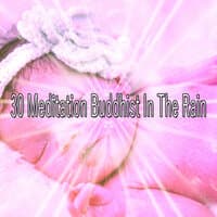 30 Meditation Buddhist in the Rain