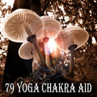 79 Yoga Chakra Aid