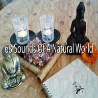 68 Sounds of a Natural World