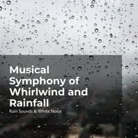 Musical Symphony of Whirlwind and Rainfall