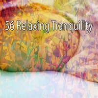 56 Relaxing Tranquility