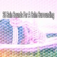 25 Rain Sounds for a Calm Surrounding