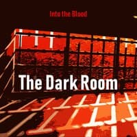 The Dark Room