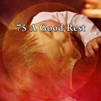 75 A Good Rest