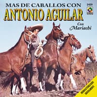 Más de Caballos con Antonio Aguilar