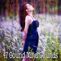 47 Sound Mind Sounds