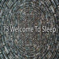 73 Welcome to Sleep