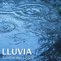 Lluvia - Ruidos de Lluvia