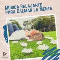 Música Relajante para Calmar la Mente