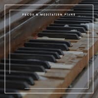 Focus & Meditation Piano