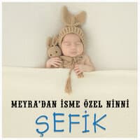 Şefik İsmine Özel Ninni