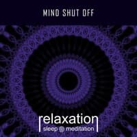 Mind Shut Off