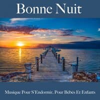 Bonne Nuit : Musique Pour S'Endormir, Pour Bébés Et Enfants: Piano Dreams - La Meilleure Musique Pour Se Détendre