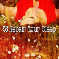 53 Repair Your Sle - EP