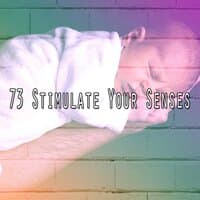 73 Stimulate Your Senses