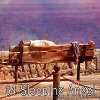 64 Sleeping Angel