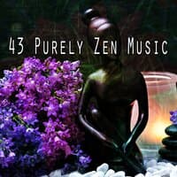 43 Purely Zen Music