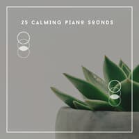 25 Calming Piano Sounds