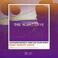 One Night Love