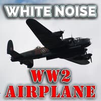 White Noise WW2 Airplane