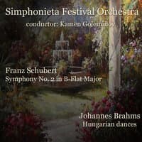 Franz Schubert - Johannes Brahms: Selected Works