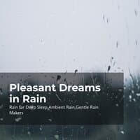 Pleasant Dreams in Rain