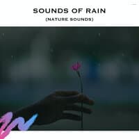 Sounds of Rain (Nature Sounds)