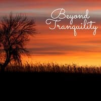 Beyond Tranquility