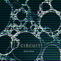 Circuit